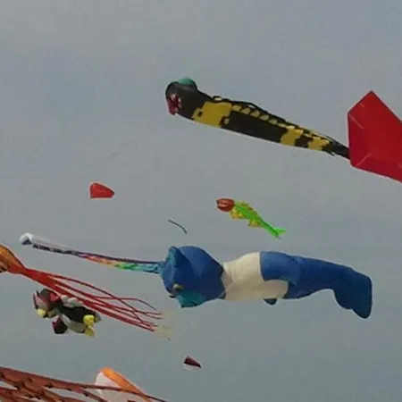 Studio Bourgois Casa de Férias